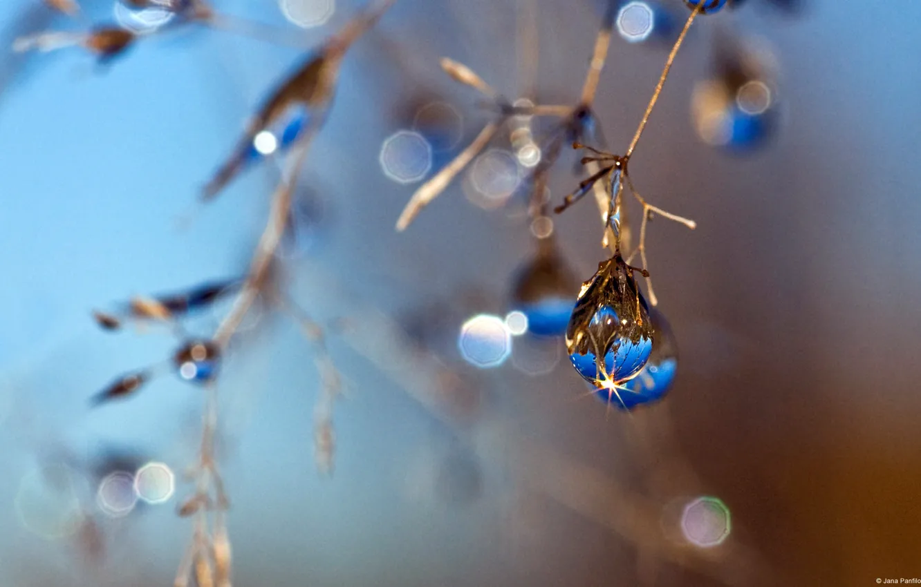 Photo wallpaper autumn, drops, blue, blur, JanaPanfilova