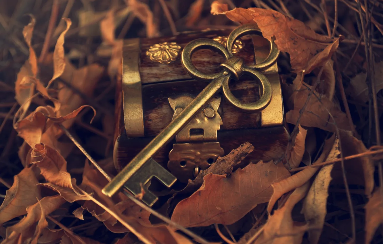 Photo wallpaper autumn, leaves, metal, key, box, fallen