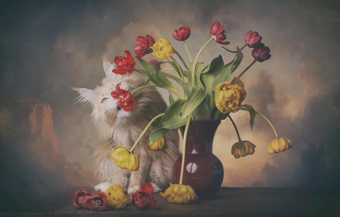 Photo wallpaper cat, cat, flowers, table, bouquet