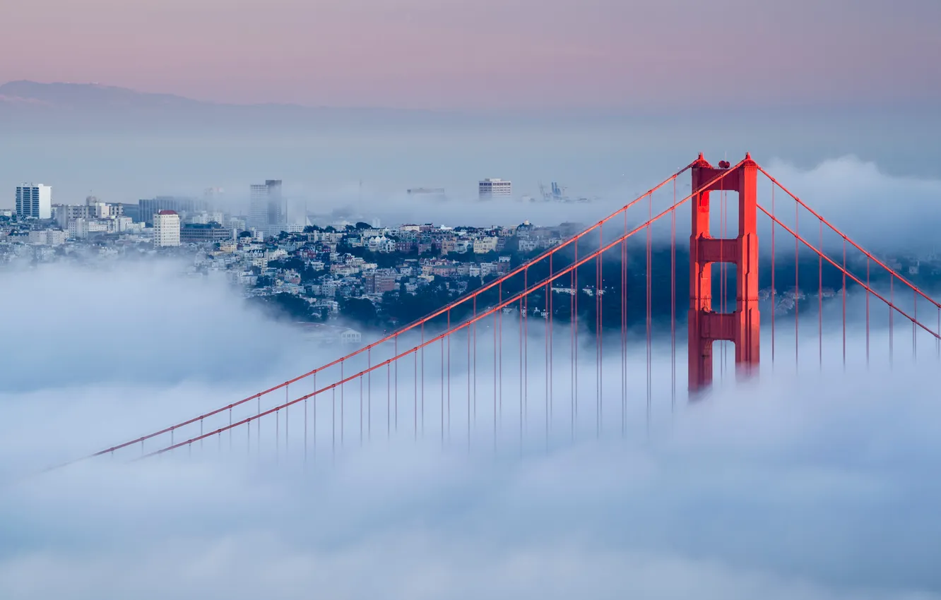 Photo wallpaper the sky, bridge, city, the city, fog, dawn, height, horizon