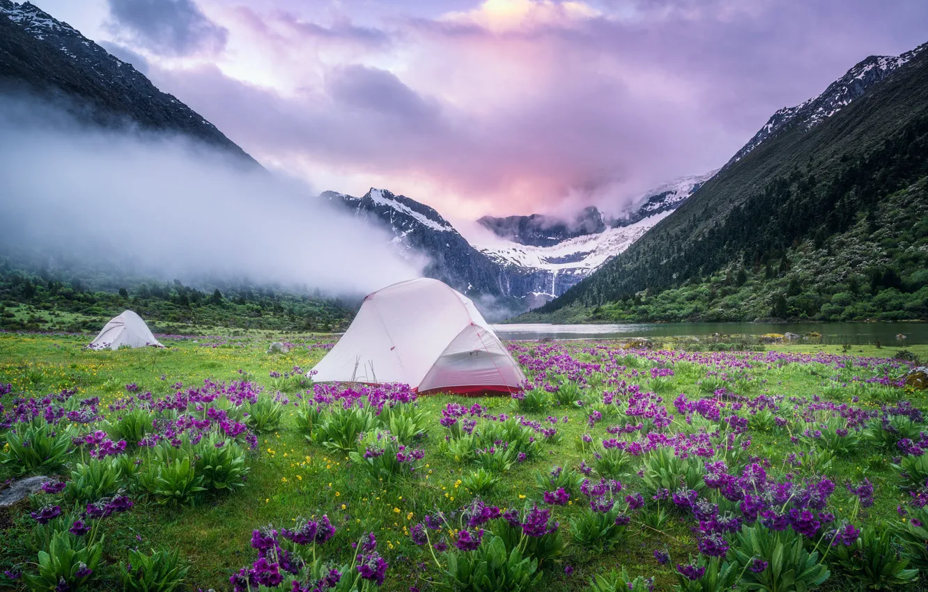 Photo wallpaper field, flowers, mountains, fog, shore, glade, spring, morning
