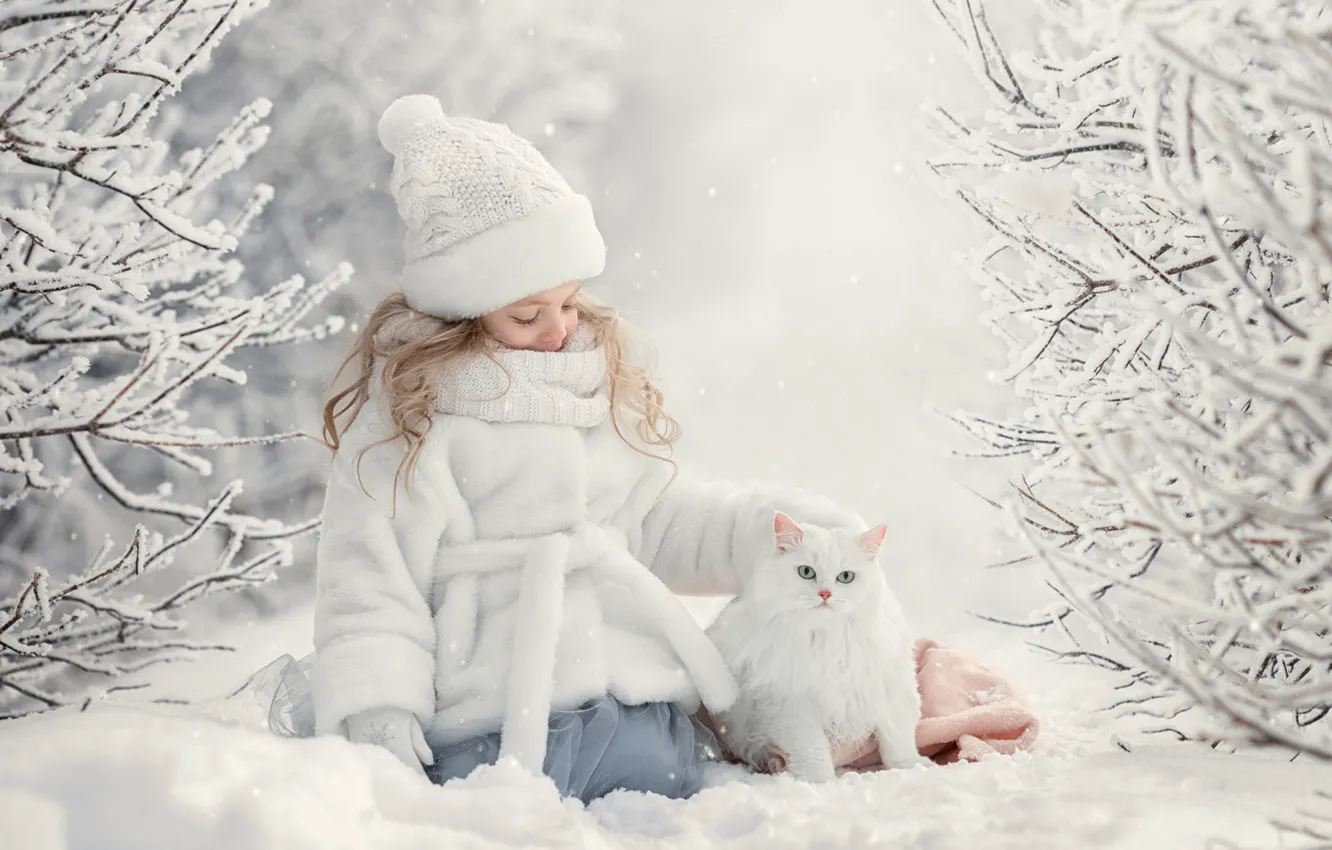 Photo wallpaper winter, cat, snow, girl, friends