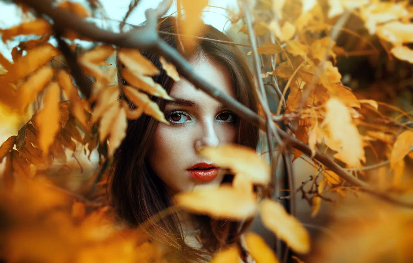 Photo wallpaper eyes, look, leaves, girl, face, lipstick, lips
