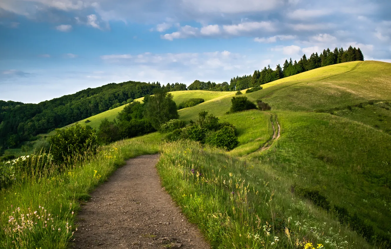 Photo wallpaper road, the sky, grass, clouds, trees, hills, meadow
