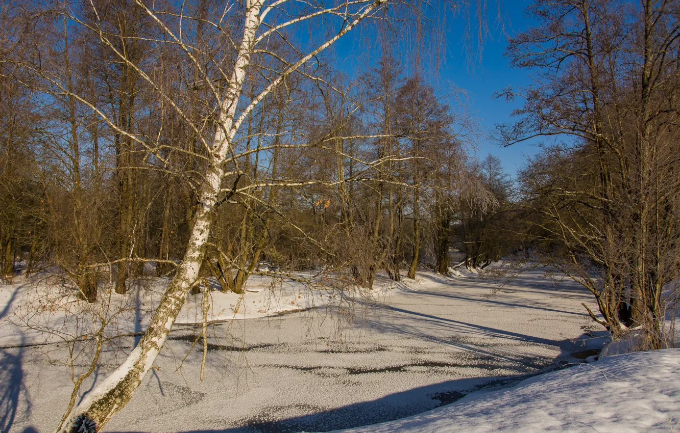 Photo wallpaper winter, frost, nature, river, birch
