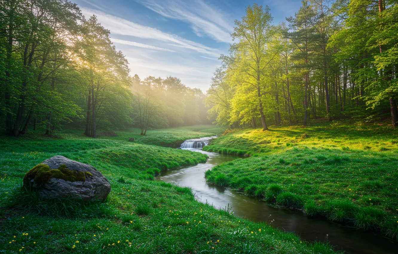 Photo wallpaper spring, clouds, forest, grass, stream, forest, stream, clouds