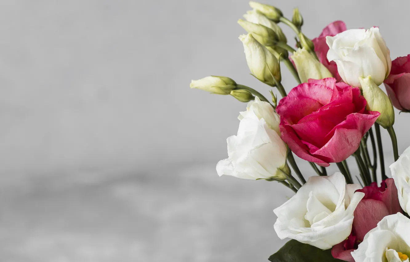 Photo wallpaper flowers, bouquet, eustoma