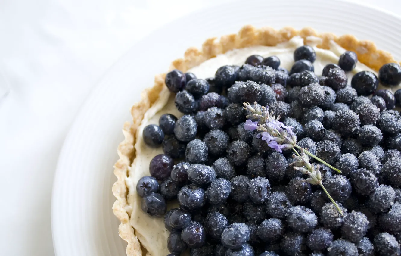 Photo wallpaper flowers, food, blueberries, berry, plate, sugar, lavender, tartlet