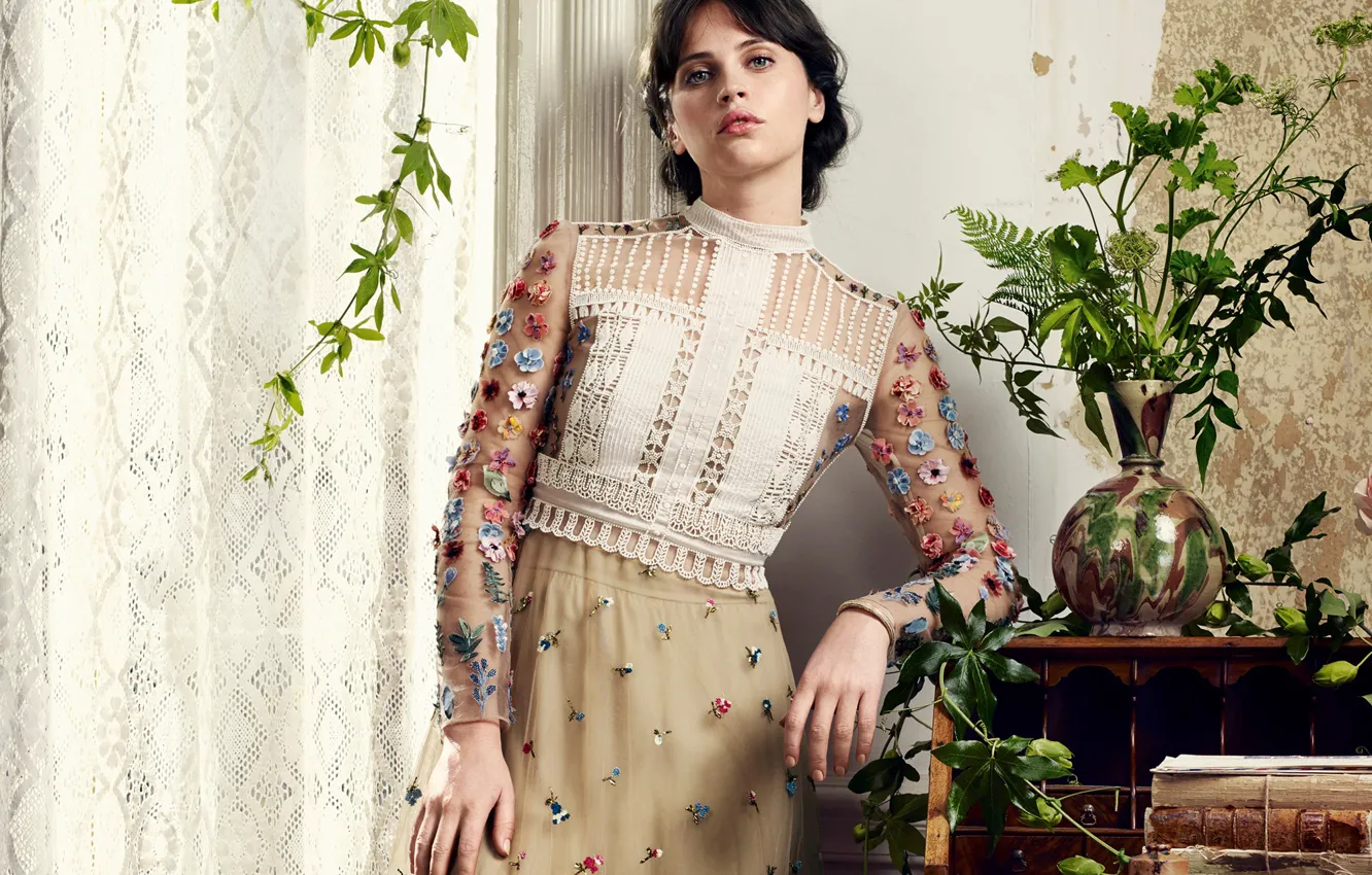 Photo wallpaper Felicity Jones, Felicity Jones, Harper's Bazaar, David Slijper
