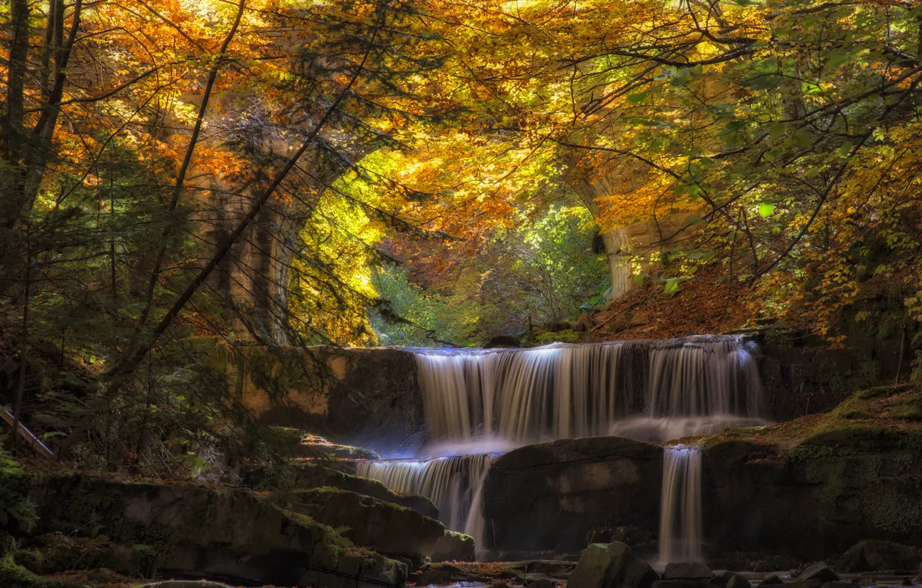 Photo wallpaper autumn, forest, leaves, water, bridge, river, cascade