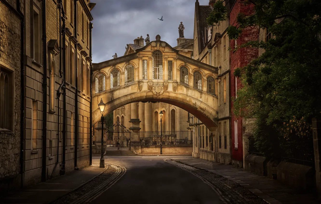 Photo wallpaper England, building, lights, UK, lane, architecture, Oxford, the bridge of sighs