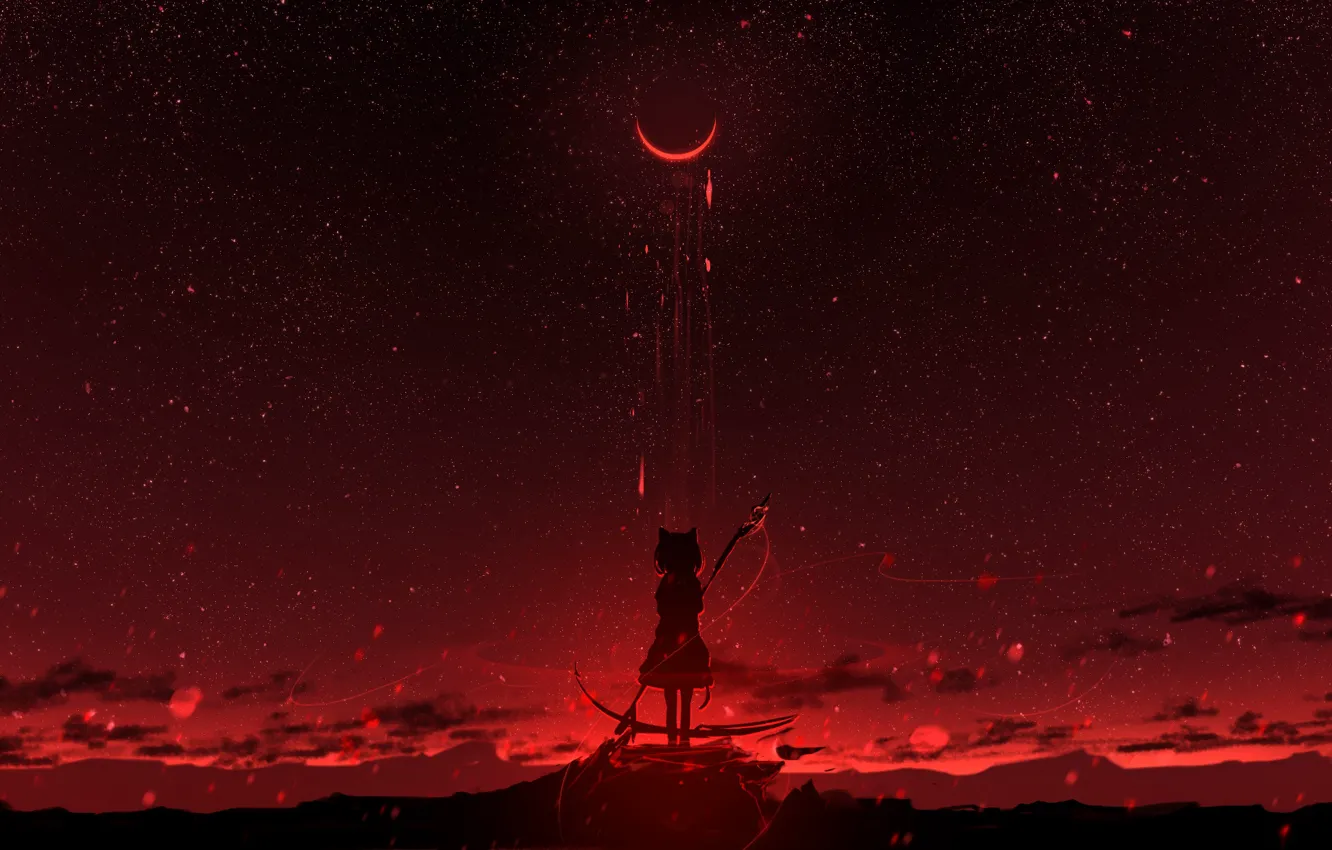 Photo wallpaper cat, the sky, girl, night, the moon, Eclipse, braid