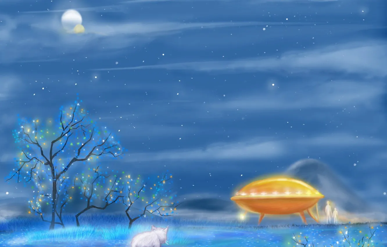 Photo wallpaper winter, UFO, kitty
