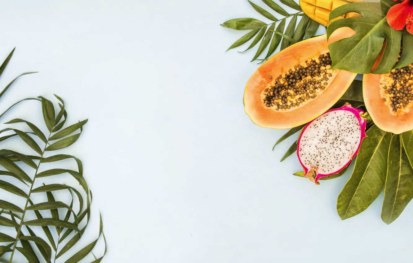 Wallpaper leaves, background, papaya, exotic for mobile and desktop