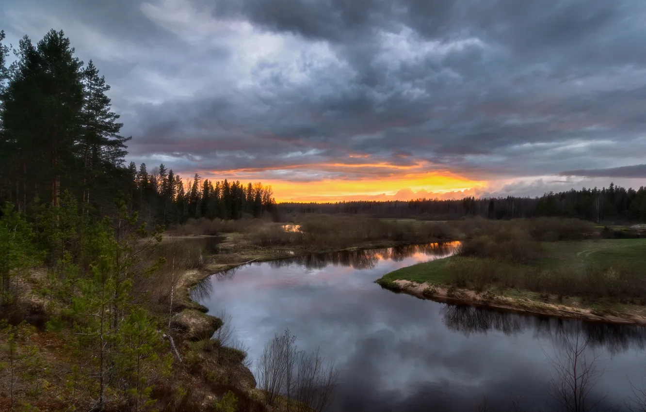 Photo wallpaper the storm, forest, landscape, clouds, nature, river, shore, the evening