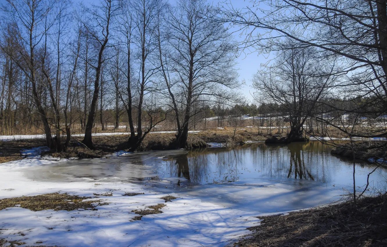 Photo wallpaper snow, landscape, nature, spring, thawed