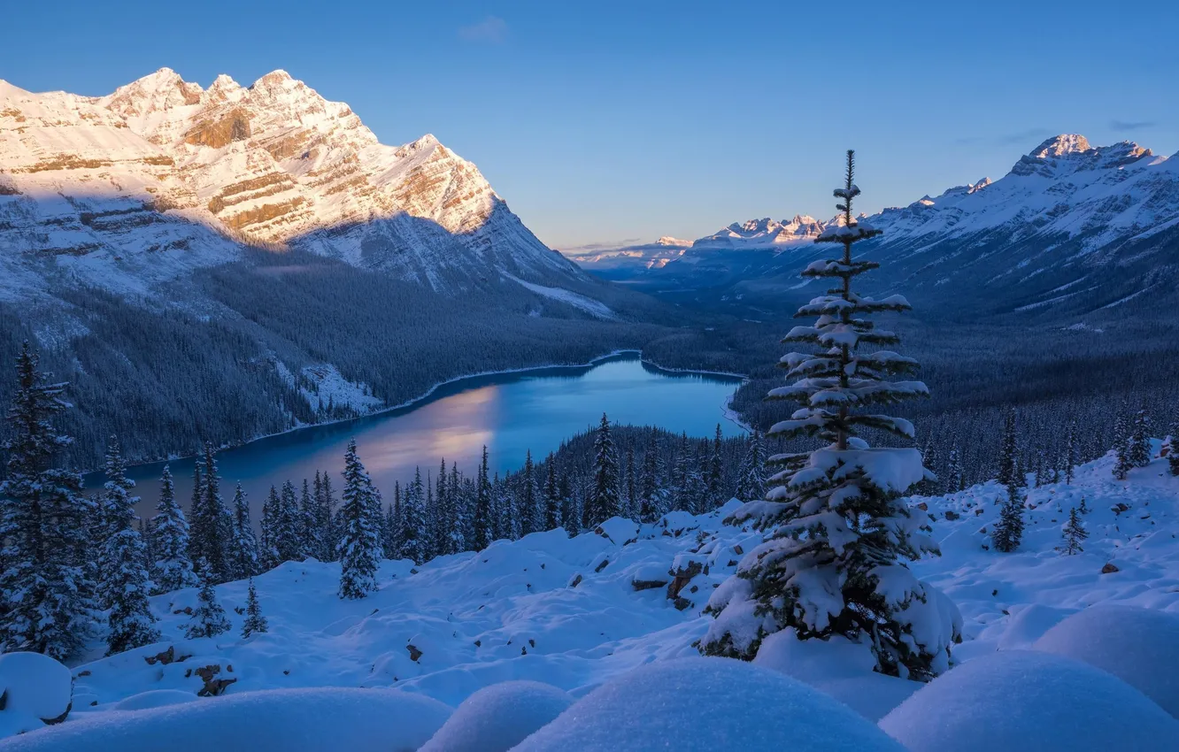 Photo wallpaper winter, frost, the sky, light, snow, mountains, nature, lake