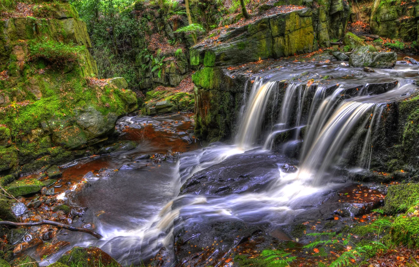 Photo wallpaper forest, stream, stones, England, moss, HDR, Rivington, Jepsons Clough Waterfall