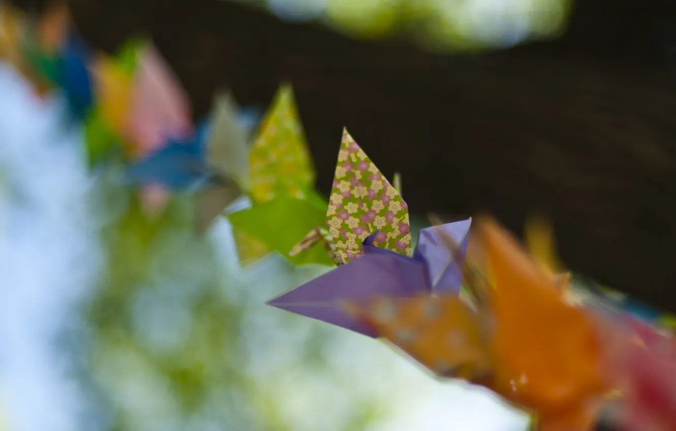 Photo wallpaper macro, paper, pattern, color, birds, origami