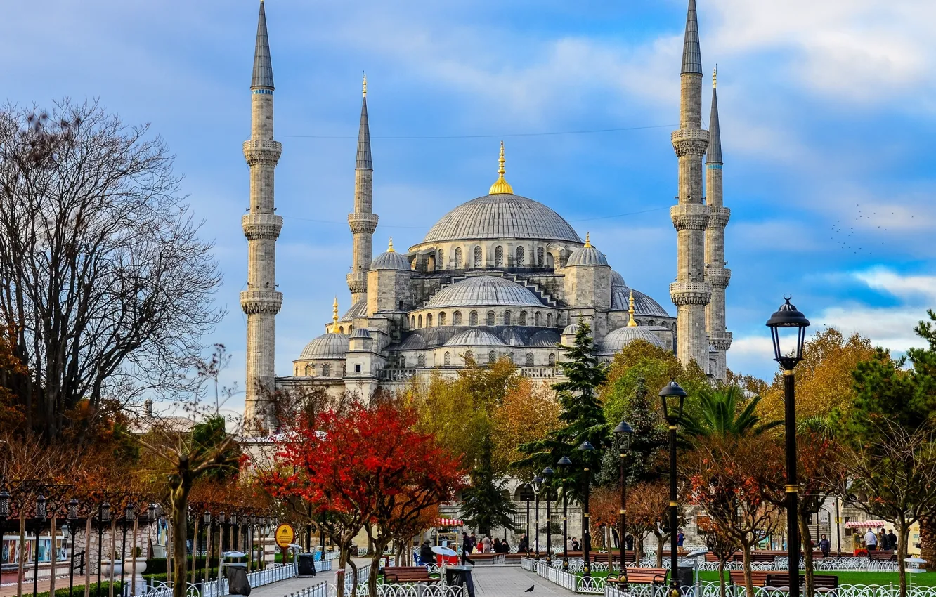 Photo wallpaper trees, lights, square, Istanbul, The Mosque Of Sultan Ahmet, Turkey, Istanbul, Turkey