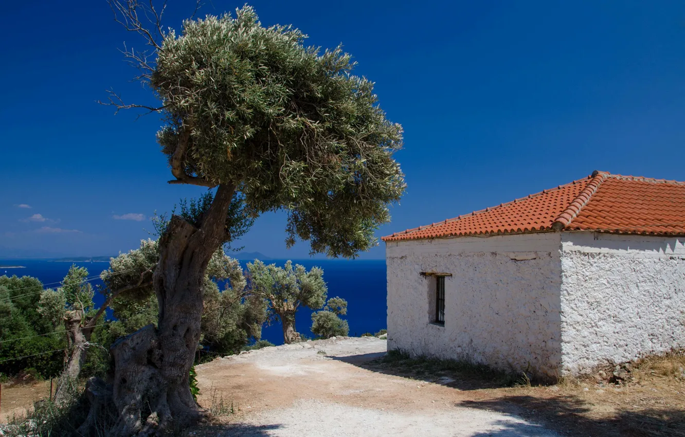 Photo wallpaper sea, house, tree, Greece