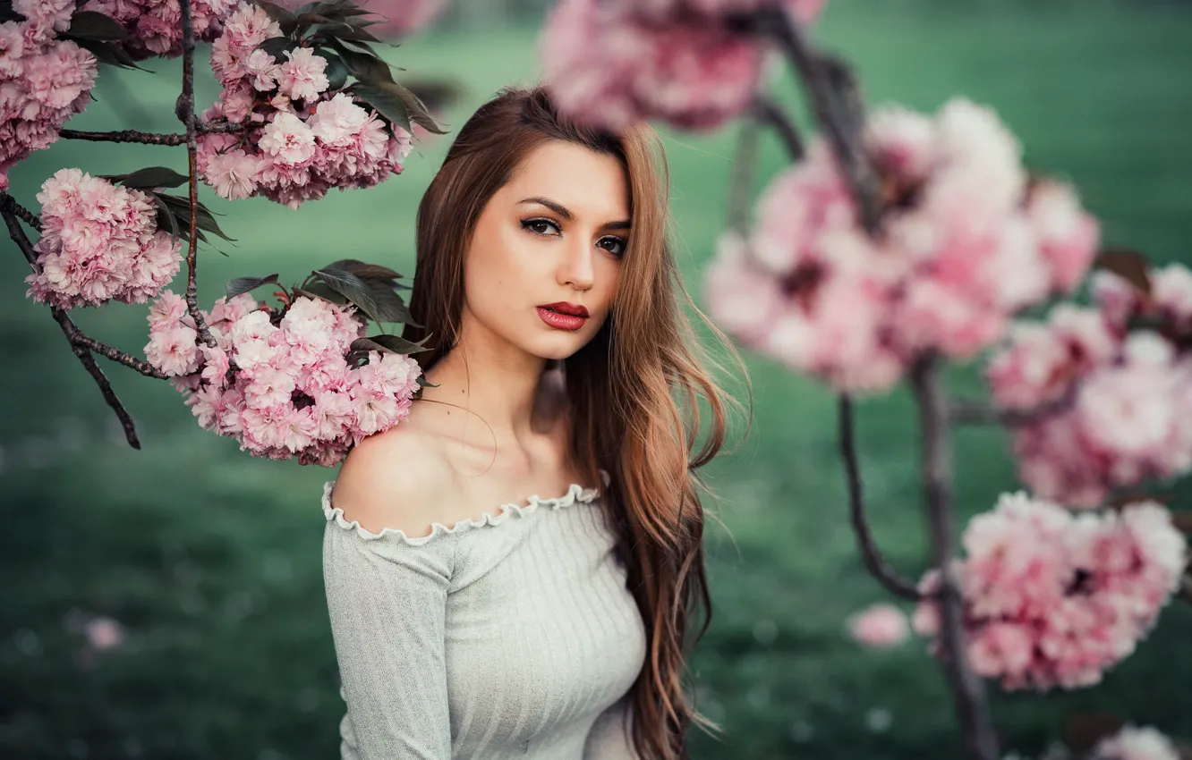 Photo wallpaper look, flowers, branches, pose, model, portrait, makeup, dress