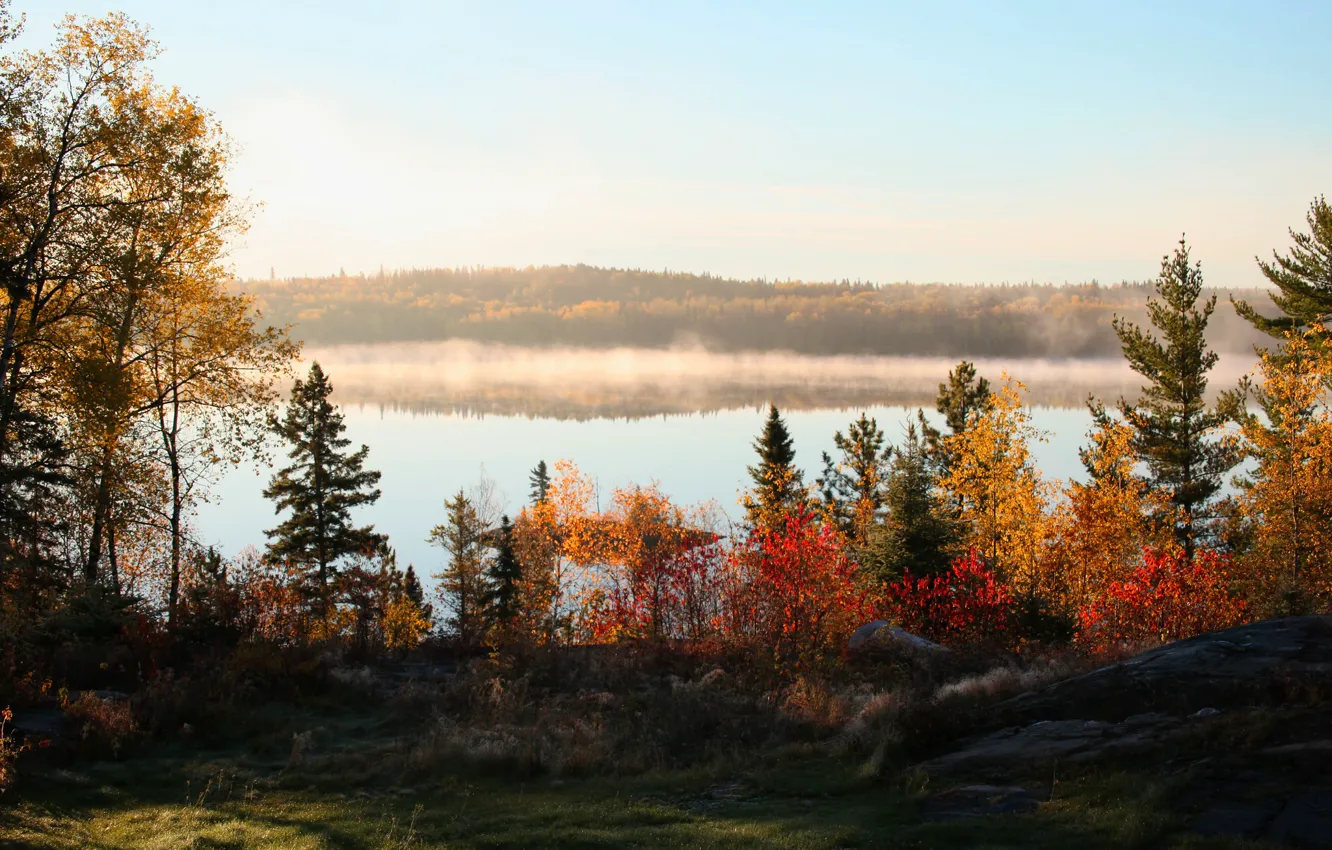 Photo wallpaper autumn, forest, the sky, trees, fog, hills, haze