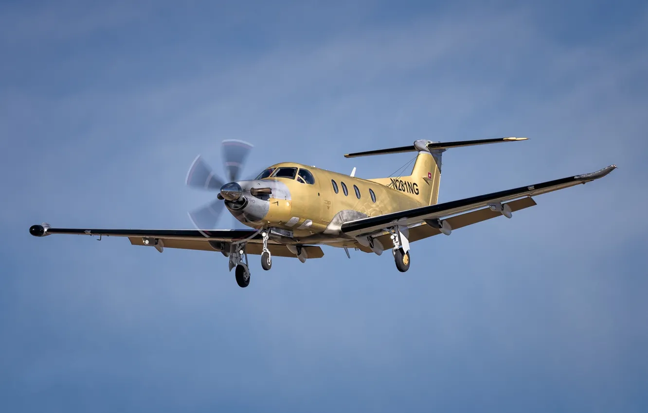 Photo wallpaper the sky, screw, the plane, Flies