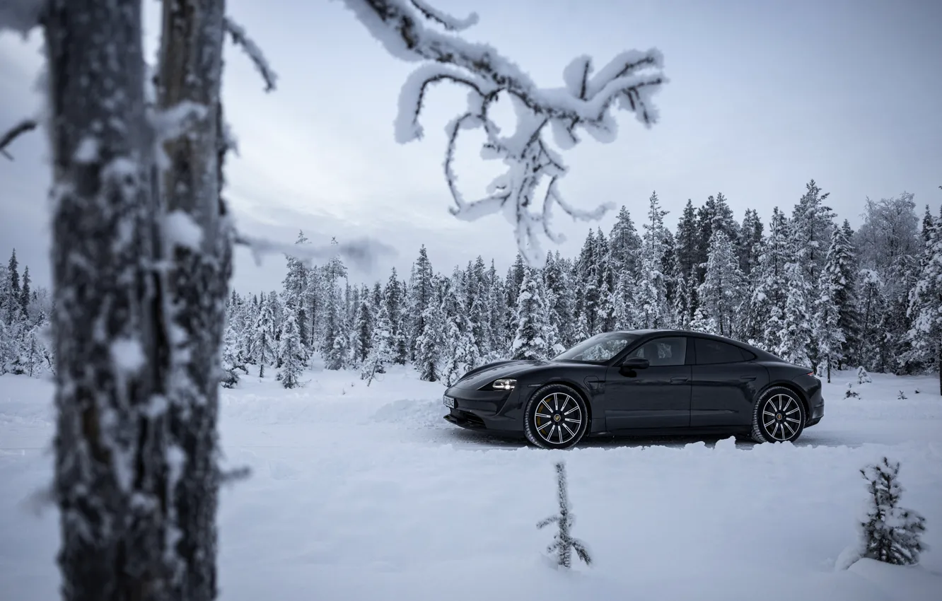 Photo wallpaper road, snow, trees, black, branch, Porsche, 2020, Taycan