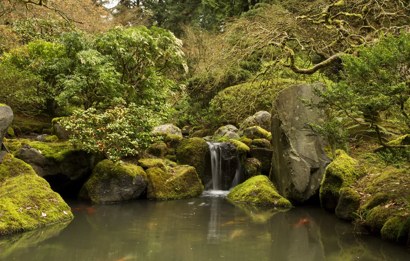 Photo wallpaper trees, pond, stream, stones, waterfall, moss, garden, USA