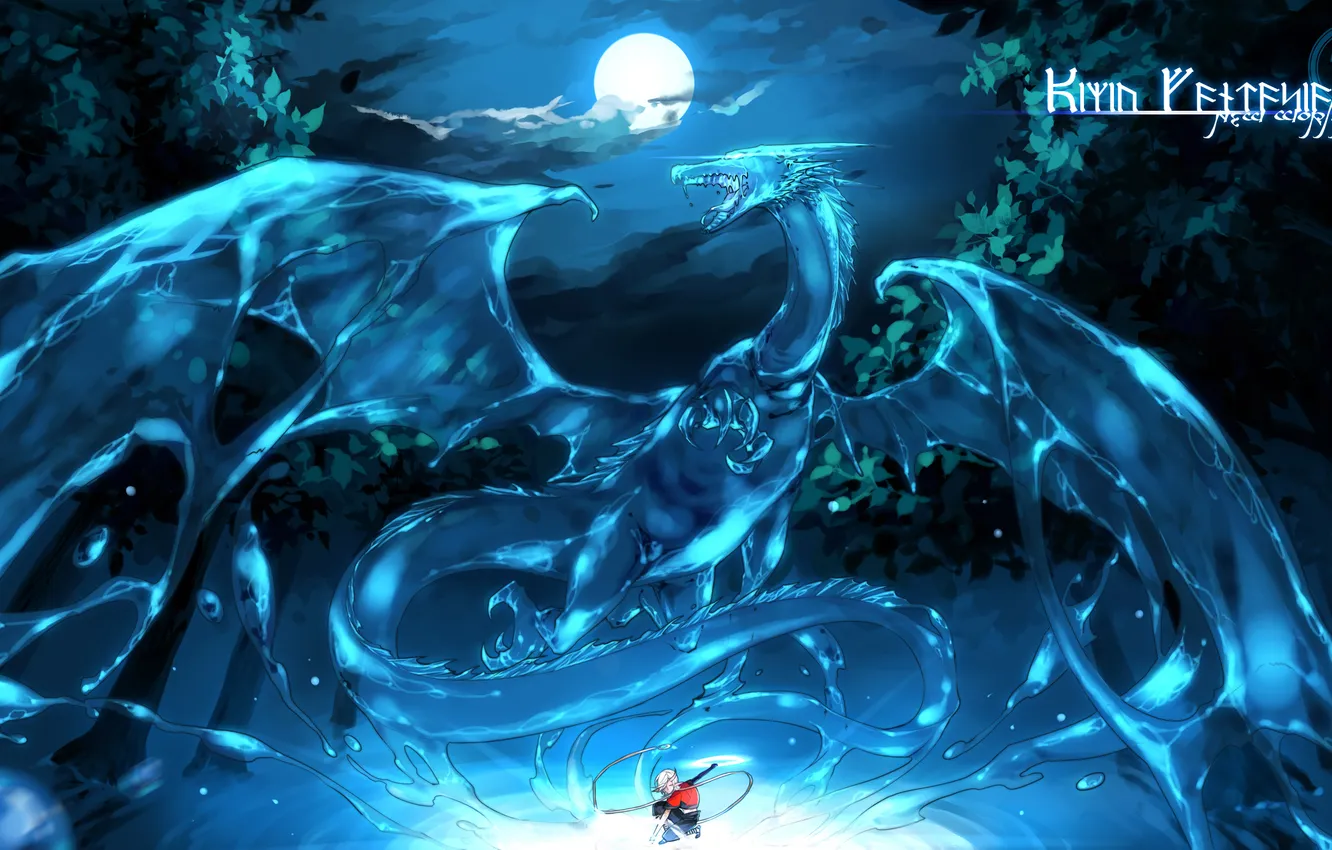 Photo wallpaper forest, trees, night, the moon, dragon, art, guy, pixiv fantasia