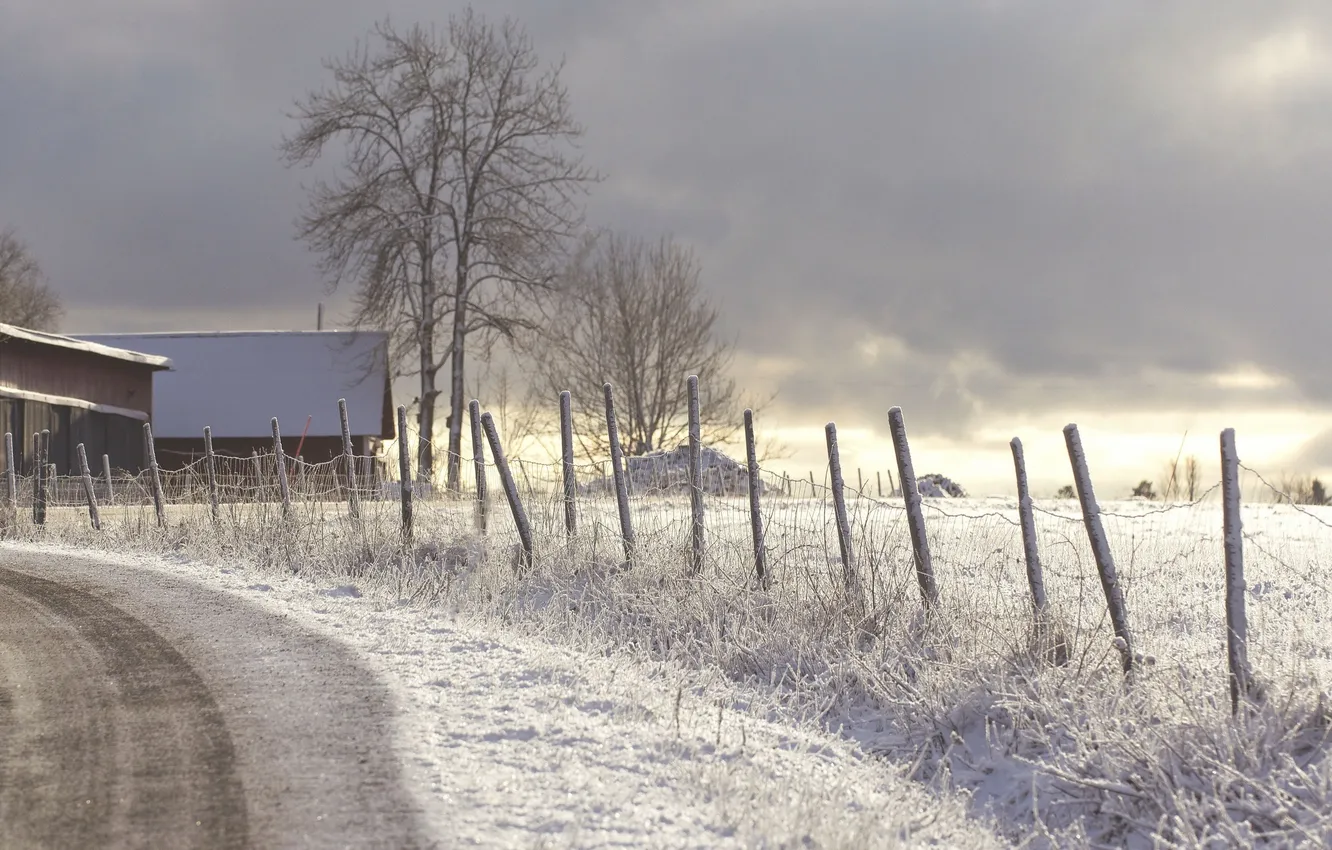 Photo wallpaper winter, road, the fence