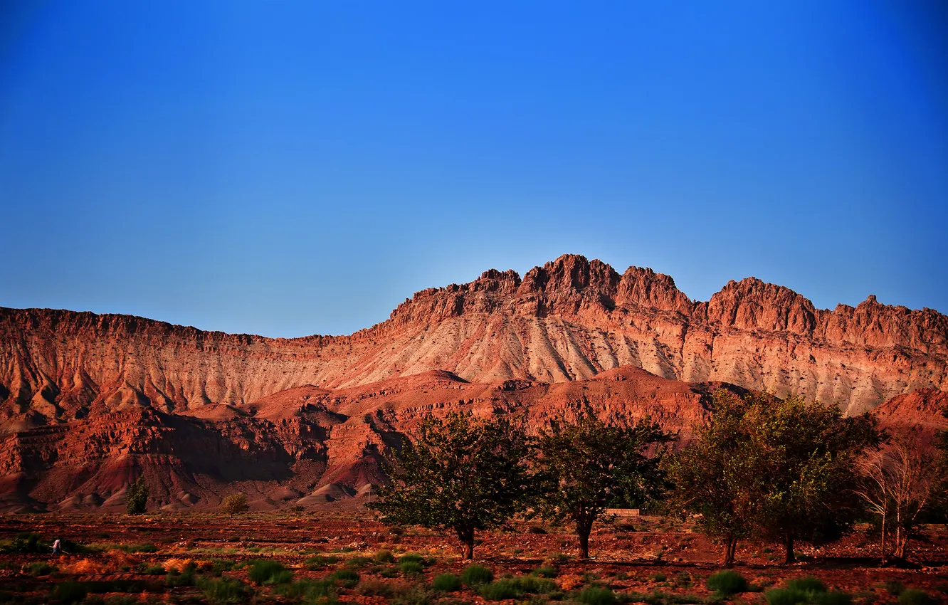 Photo wallpaper the sky, trees, mountains