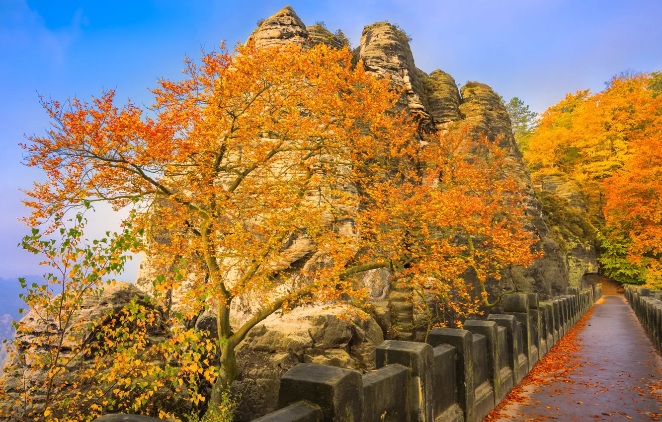 Photo wallpaper autumn, bridge, Germany, Bastei