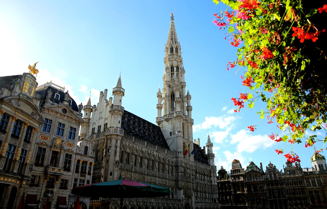 Photo wallpaper flowers, tree, tower, Belgium, Brussels, town hall, La Grand-place