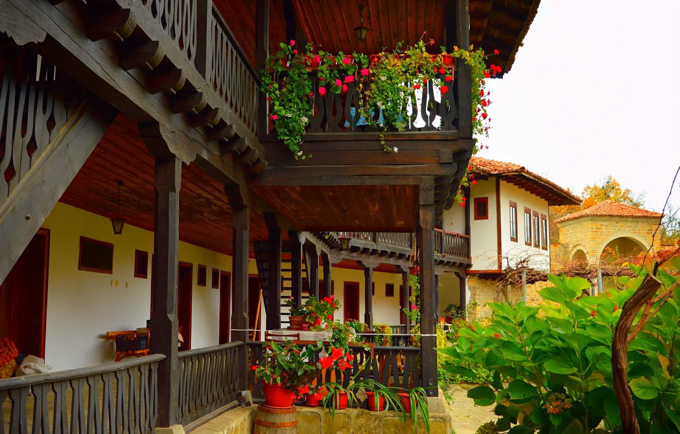 Photo wallpaper flowers, home, yard, pot, house, flowers