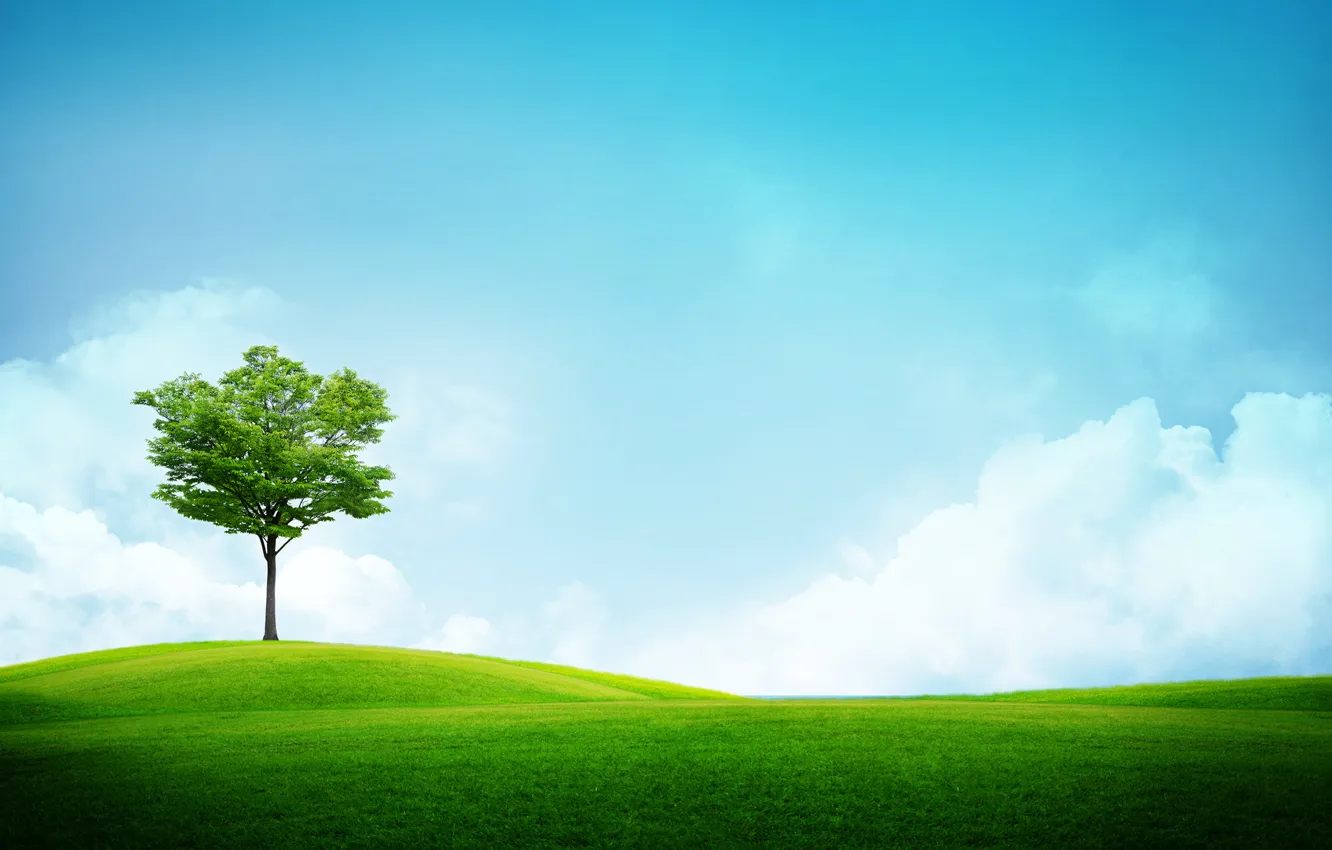 Photo wallpaper field, grass, trees, photo, landscapes