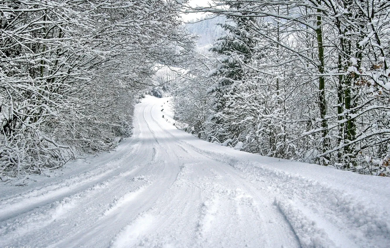 Photo wallpaper winter, road, forest, snow, trees, landscape, nature, the snow