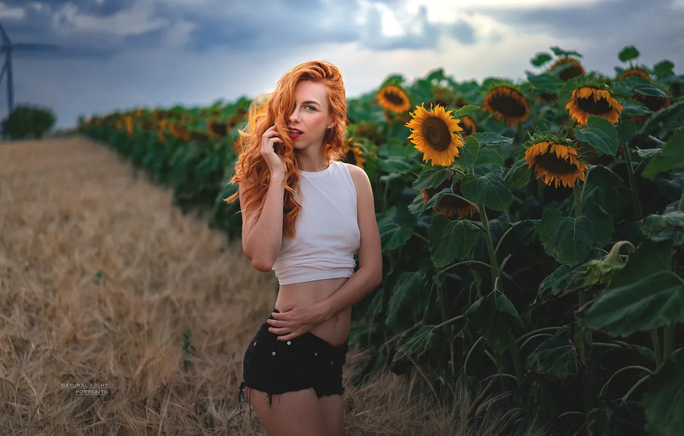 Photo wallpaper field, look, sunflowers, sexy, model, shorts, portrait, makeup