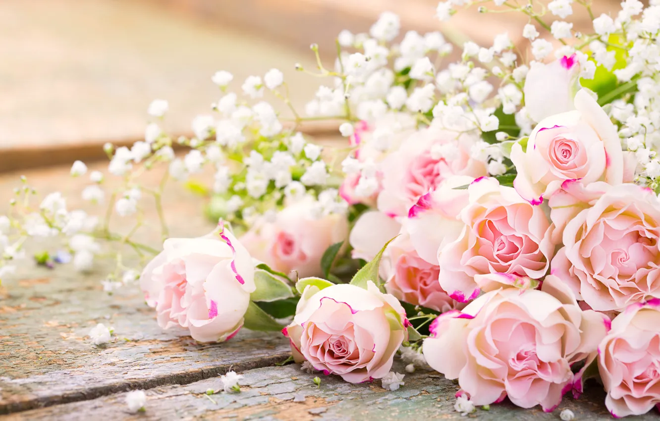 Photo wallpaper roses, pink, flowers, romantic, roses