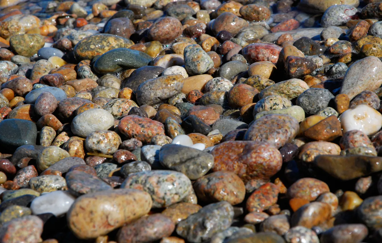 Photo wallpaper stones, texture, textures, background desktop, ocean capecod beach stones