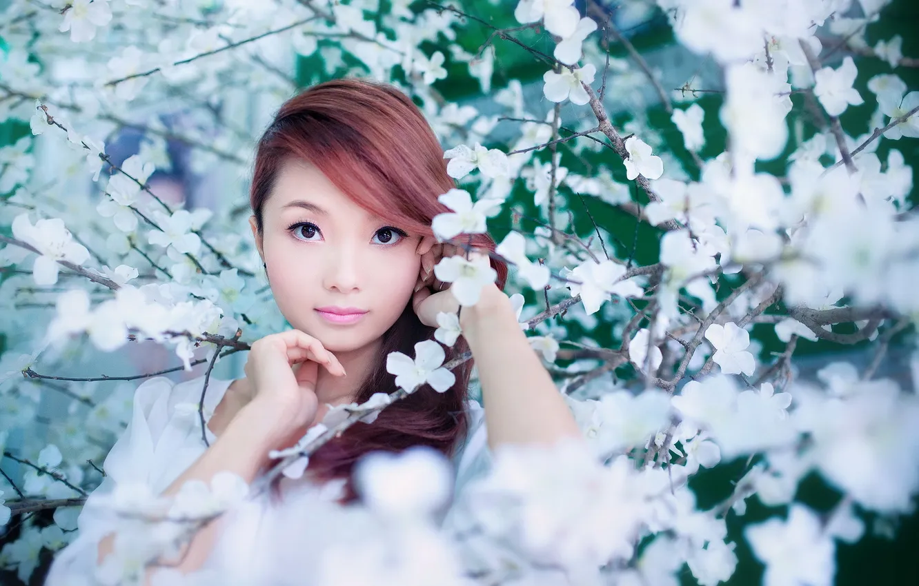 Photo wallpaper look, girl, garden, Asian