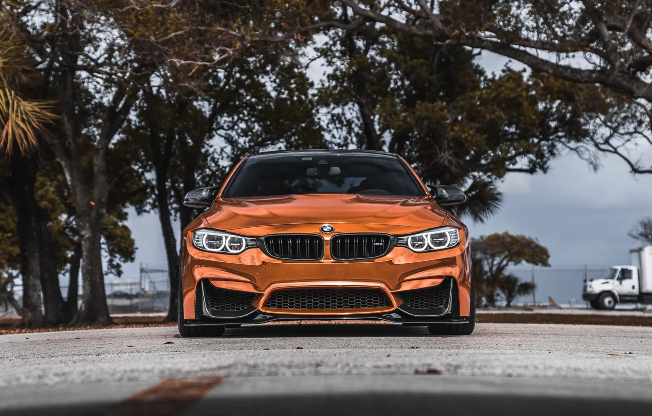 Photo wallpaper BMW, Carbon, Front, Face, Sight, Bronze, F83