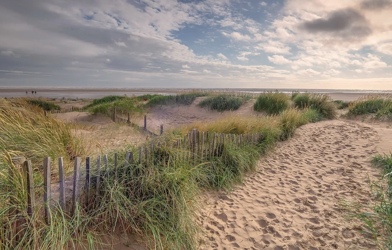 Photo wallpaper sea, beach, summer, shore