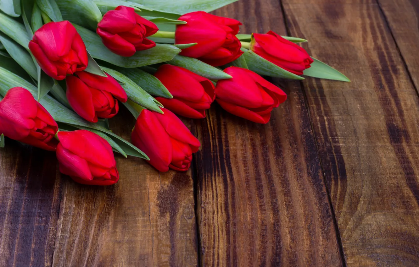 Photo wallpaper flowers, bouquet, tulips, red, red, fresh, wood, flowers