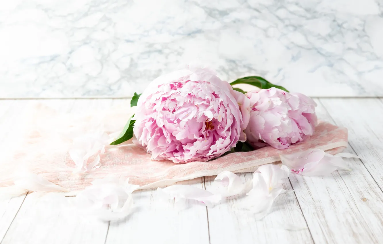 Photo wallpaper flowers, Board, bouquet, petals, fabric, lies, pink, light background