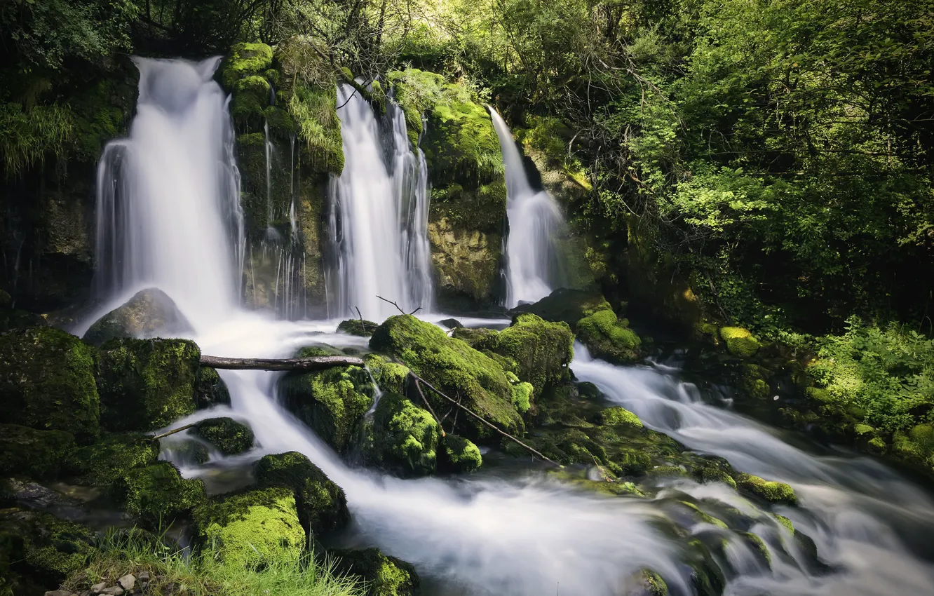 Photo wallpaper forest, river, stones, waterfall, Spain, cascade, Spain, Catalonia