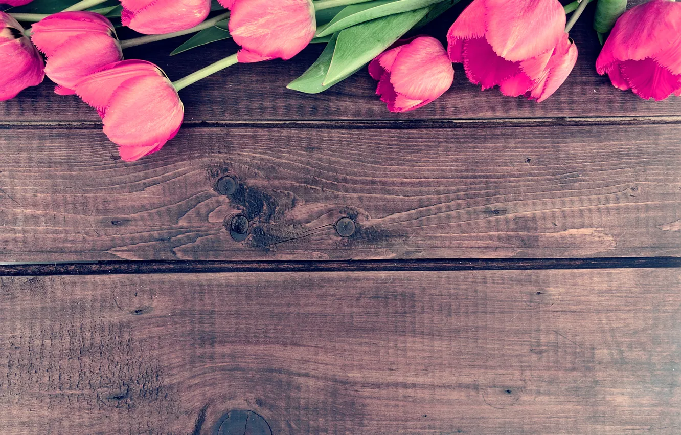 Photo wallpaper flowers, bouquet, tulips, wood, pink, romantic, tulips, spring
