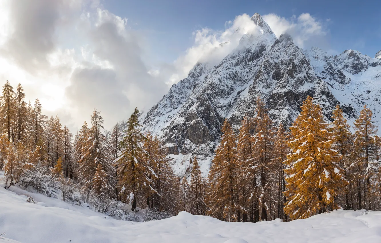 Photo wallpaper winter, snow, trees, landscape, mountains, tree, forest, landscape