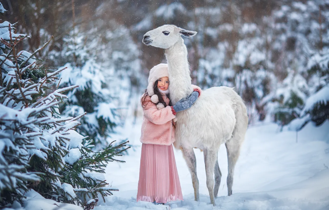 Photo wallpaper winter, forest, snow, ate, friendship, girl, friends, Lama